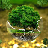 Zero Waste / Hulladékmentes